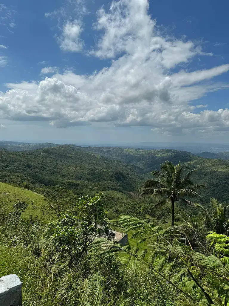 Another view, from a different perspective, of the view from Cafe Alicia.