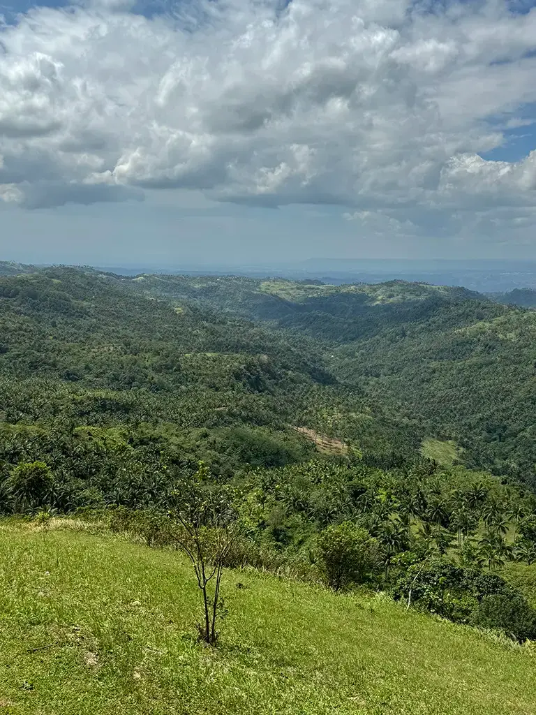 And here is another scenic shot of the area. I was genuinely impressed by the panoramic views!