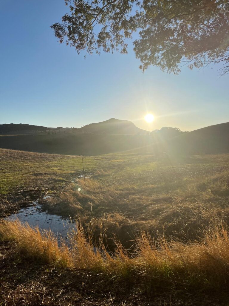 Regenerative agriculture