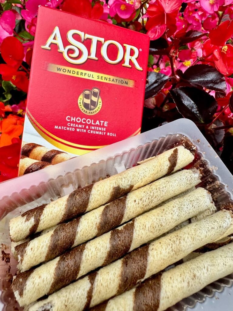 Astor Creamy Chocolate Wafer Rolls