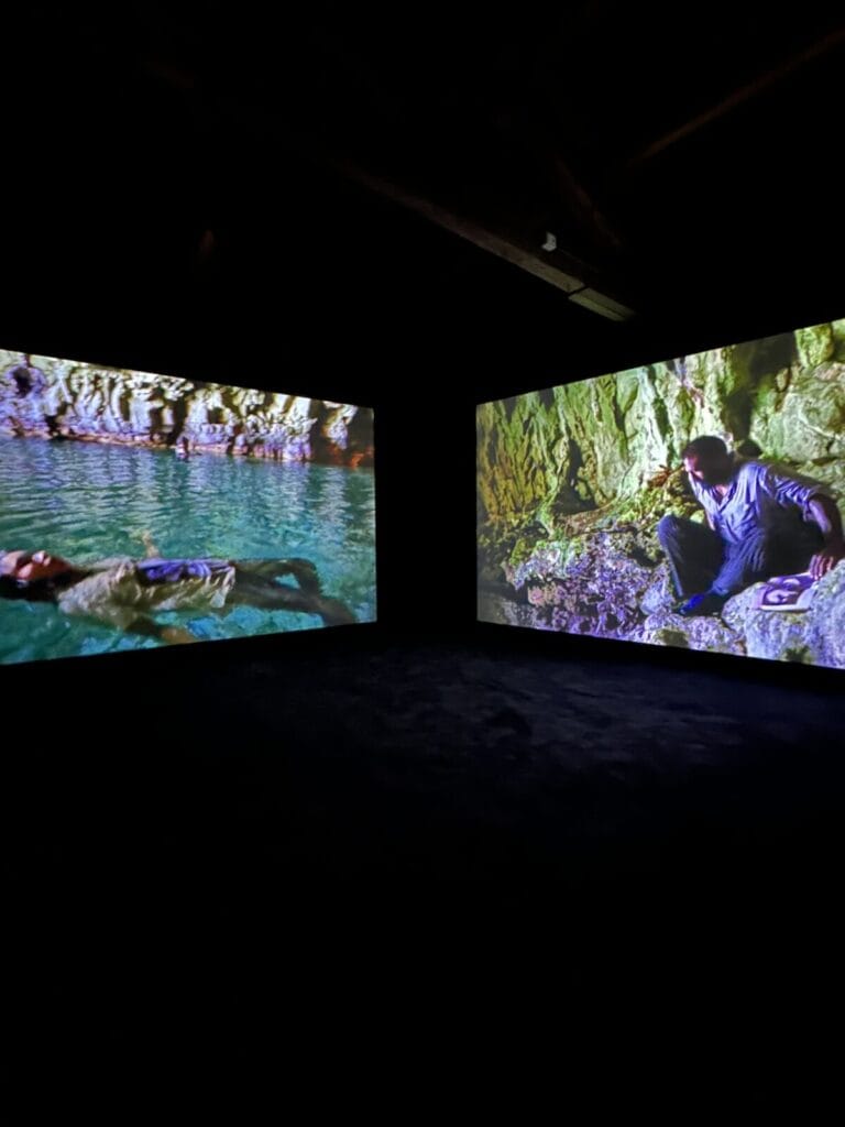 The 61st Venice Biennale, in The Cold Magazine — artwork 1