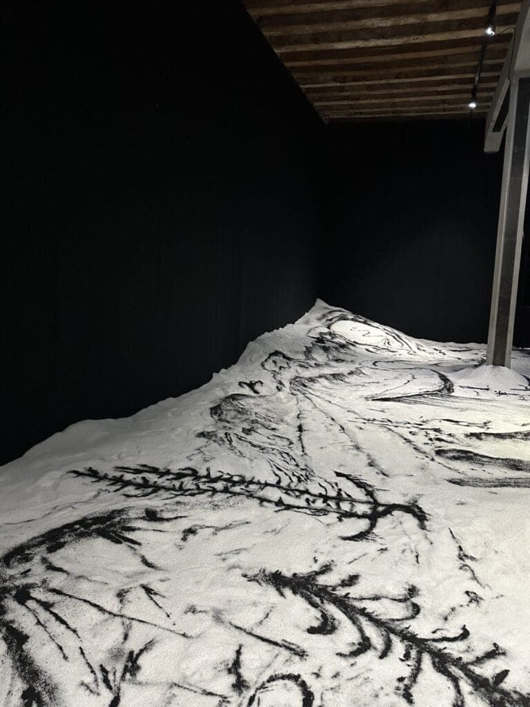 The 61st Venice Biennale, in The Cold Magazine — artwork 4