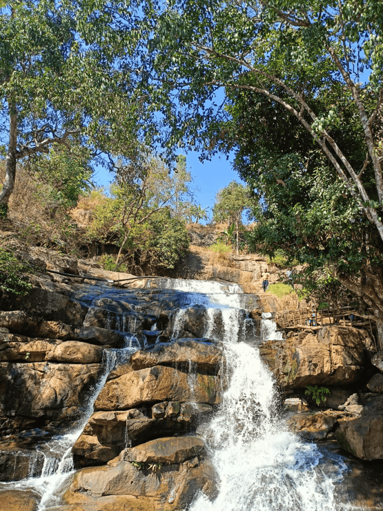 Nishi Pulugurtha_Lambasinghi