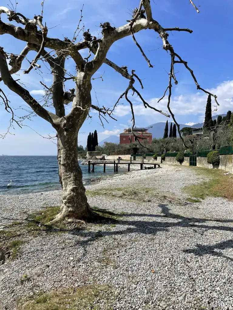 Malcesine Gardasee Italien