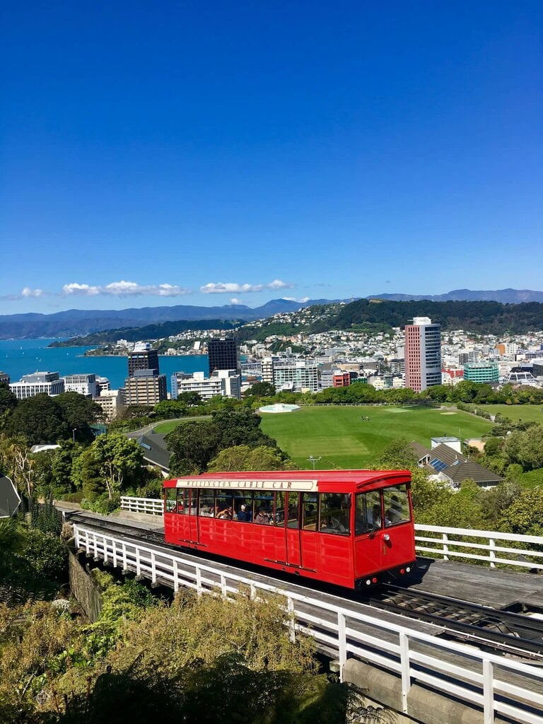 new zealand study consultants