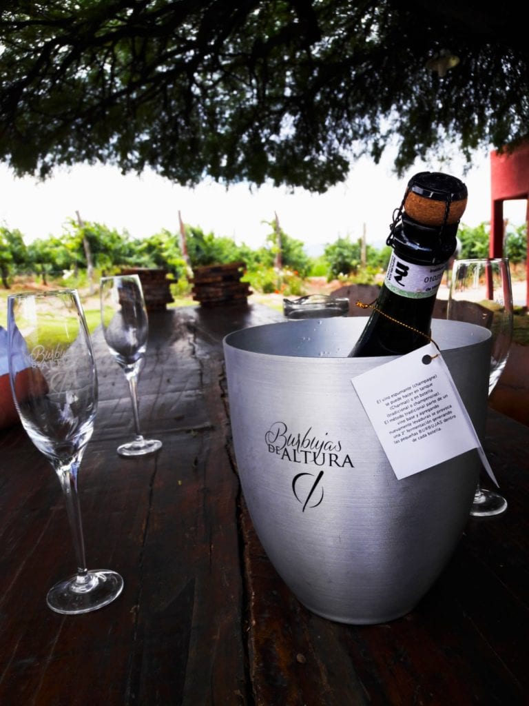 Burbujas de Altura winery in Cafayate producing sparkling from Torrontes