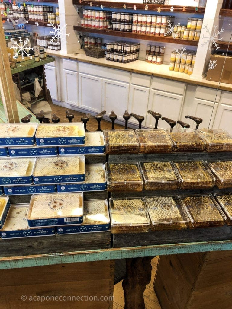 Honey Tasting in Savannah Georgia