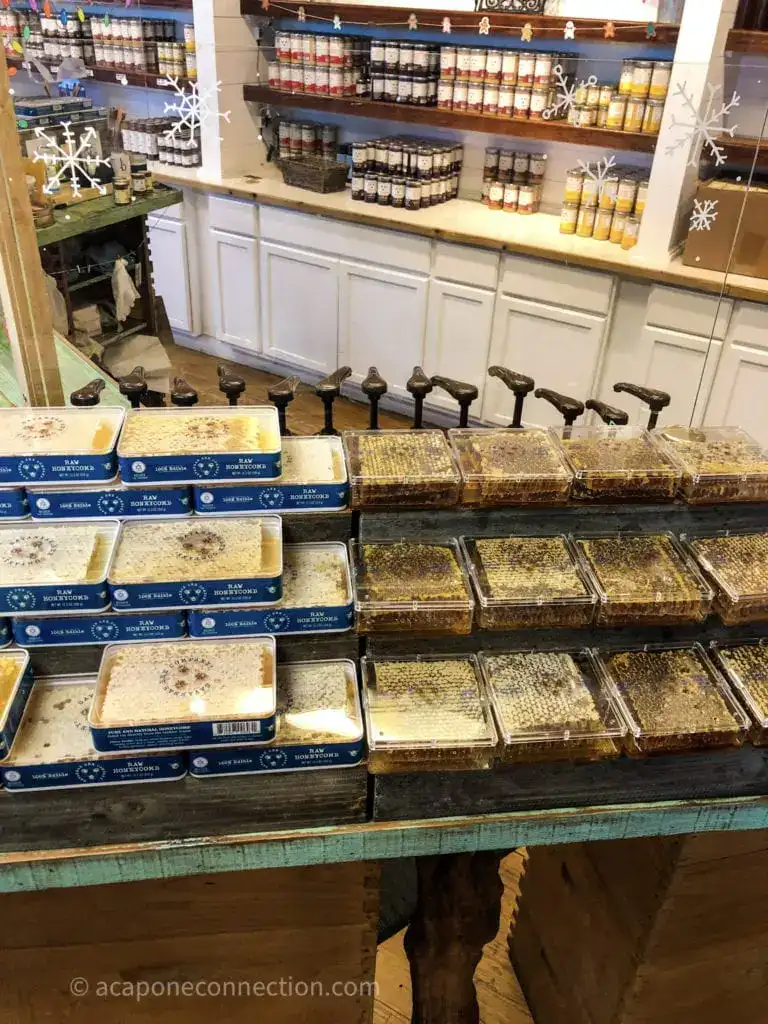 Honey Tasting in Savannah Georgia