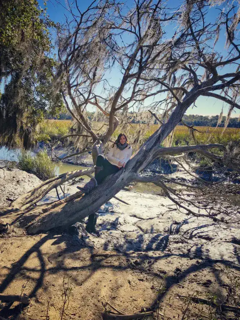 Wormsloe Park Savannah Georgia