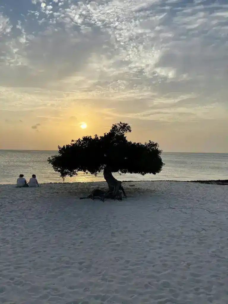 Eagle Beach Aruba