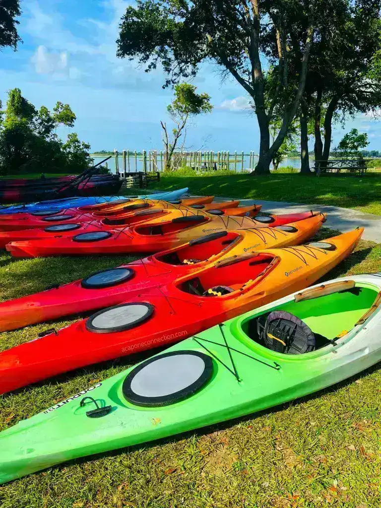 Fun Tours While Traveling Kayaking
