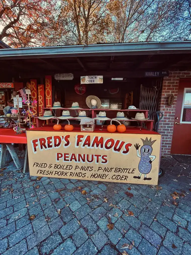 Freds Famous Peanuts Helen Georgia