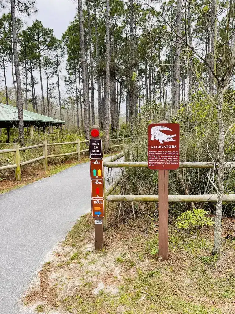Things to do in Panama City Beach Conservation Park path