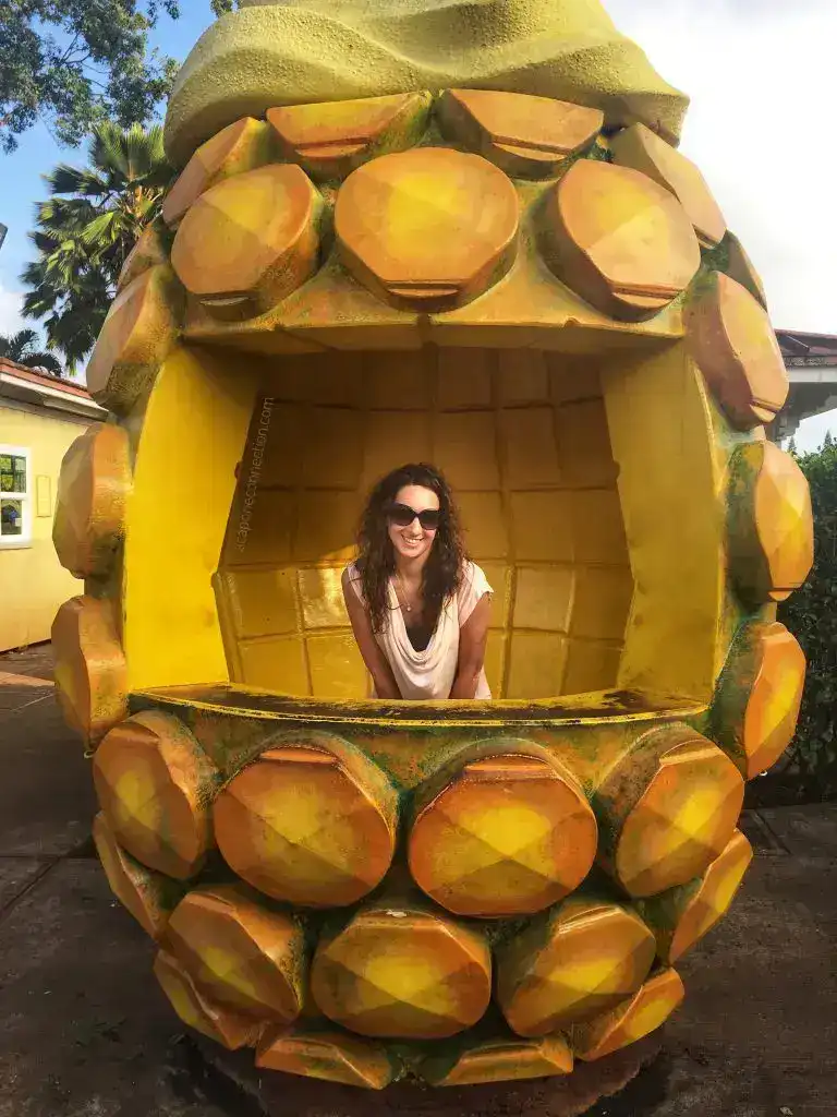 Dole Pineapple Oahu, Hawaii