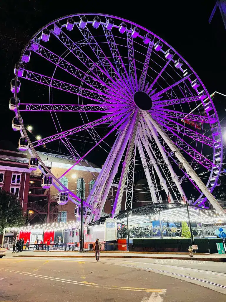 Atlanta Georgia Skyview