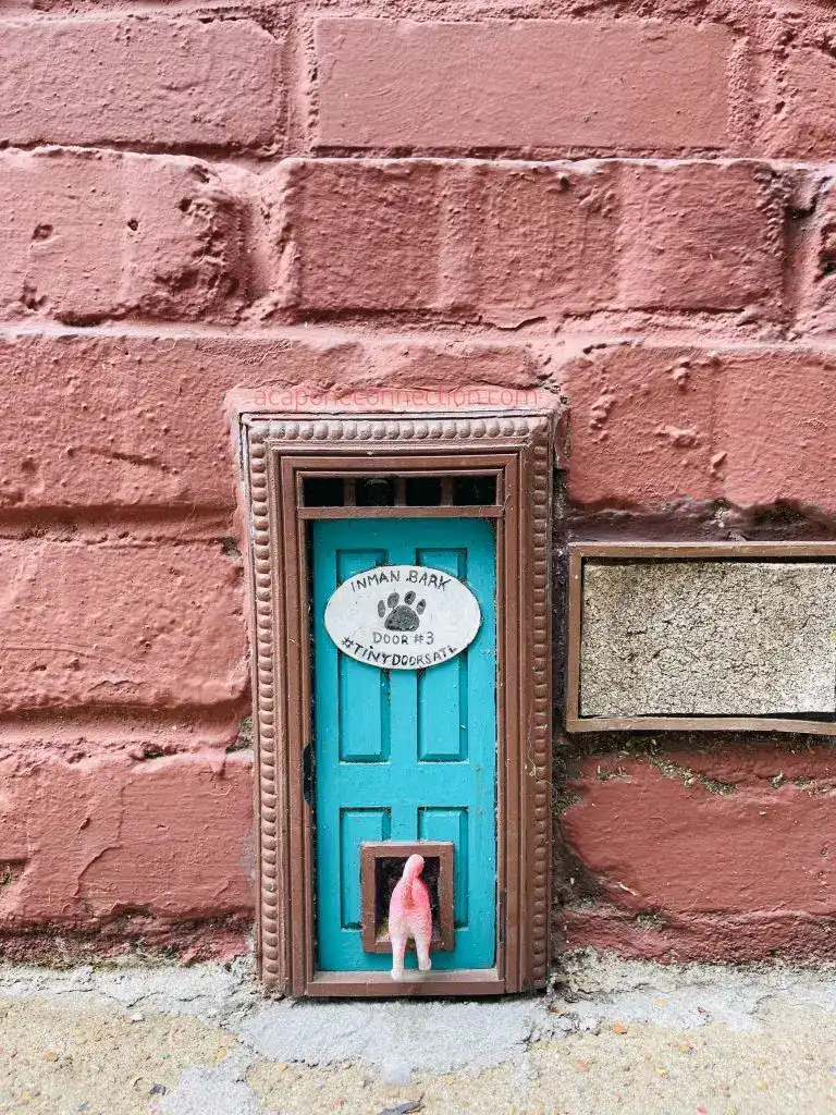 Atlanta Georgia Tiny Doors Pet