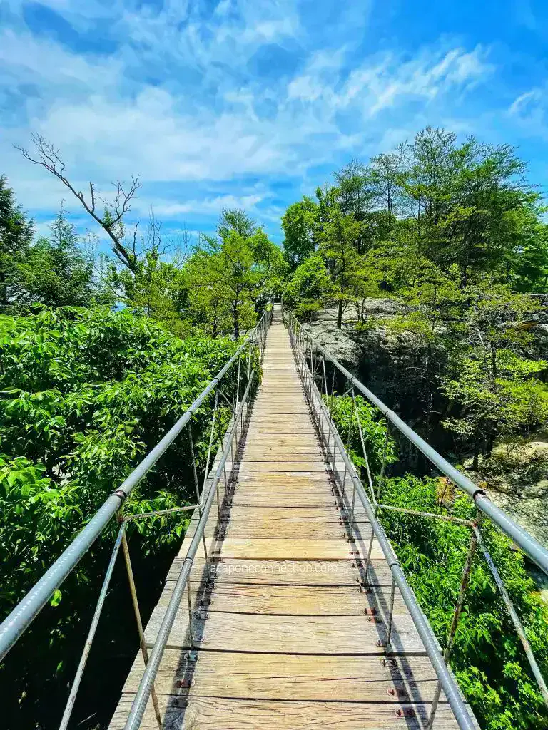Lookout Mountain Suspension Bridge