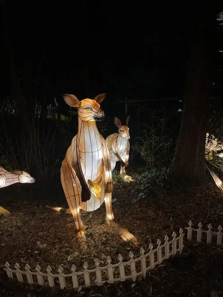 Zoo Kangaroo Light