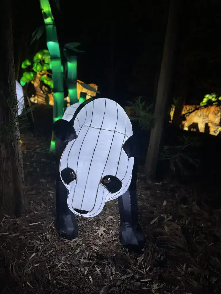 Zoo Panda Light
