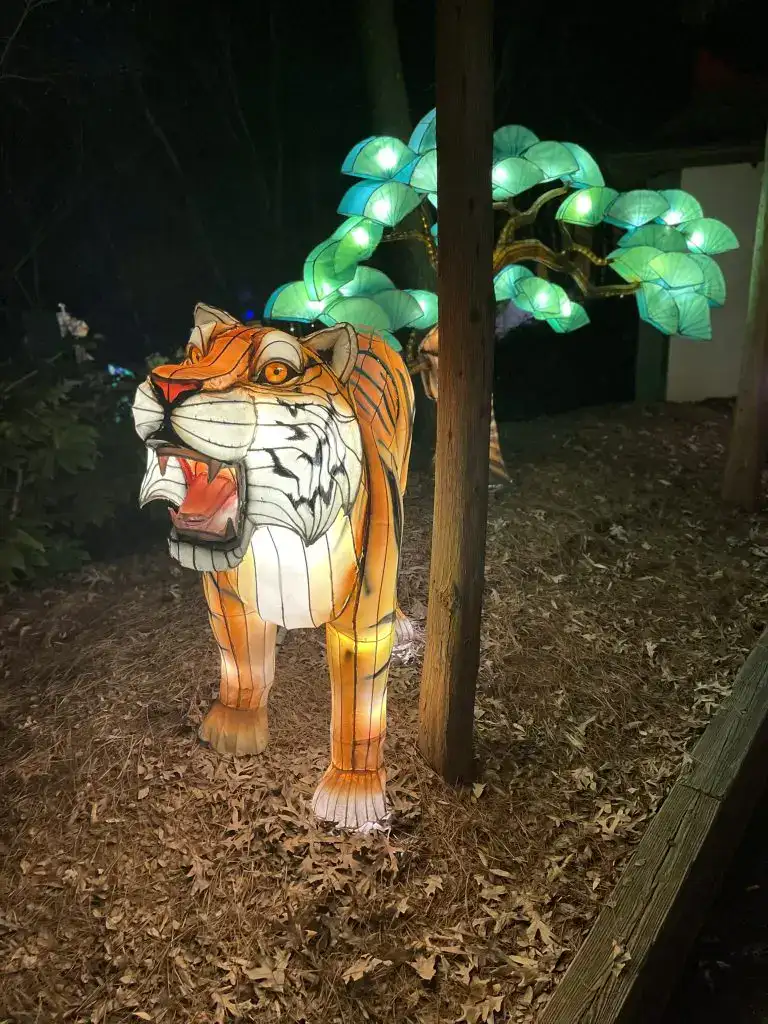 Zoo Tiger Light