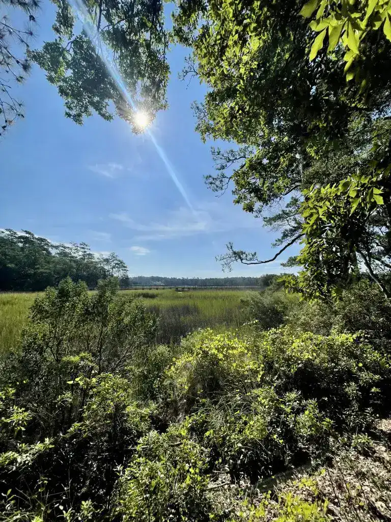 Cheap and Free Things to do in Myrtle Beach Nature Park