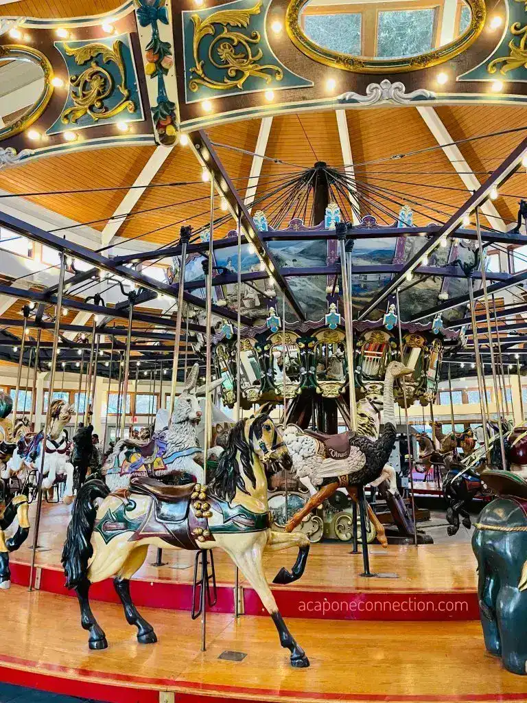 All the Fun Things to do in Chattanooga Tennessee Carousel