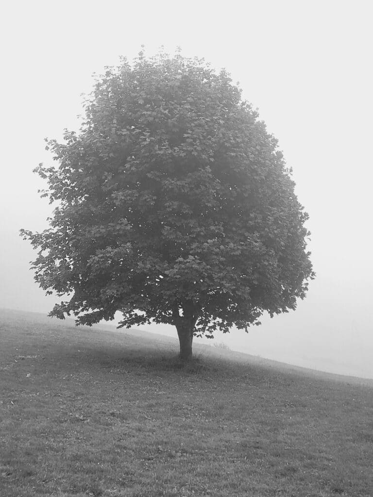 Un WE à Haut du Tôt
