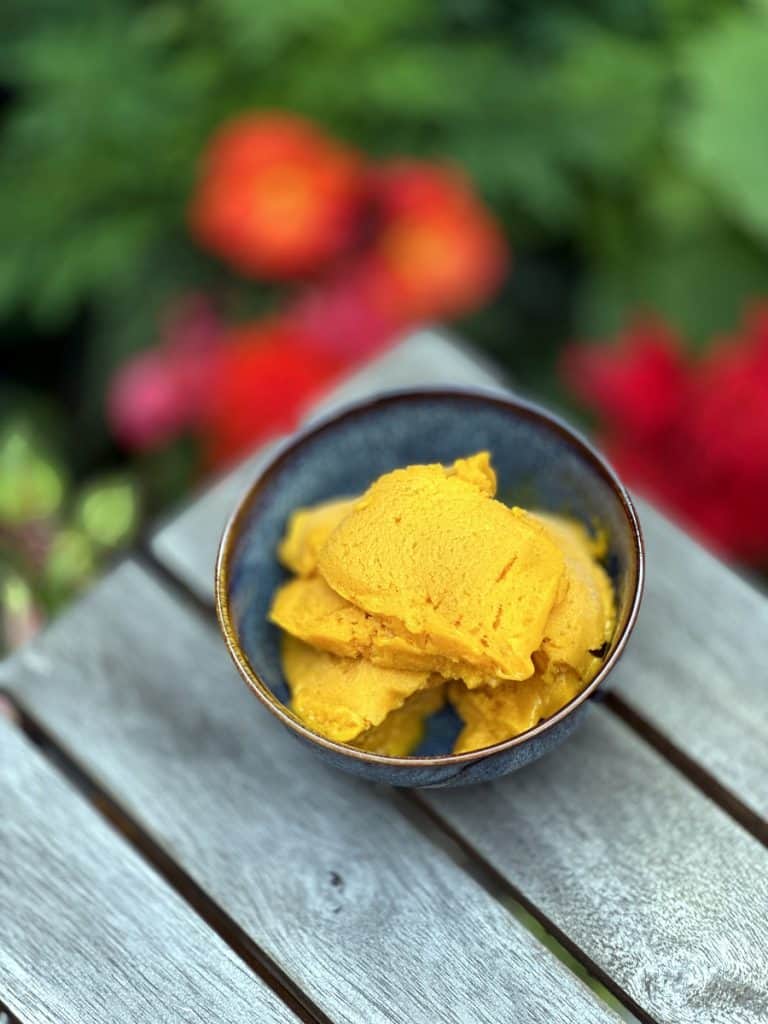 Alphonso mango sorbet Ninja Creami