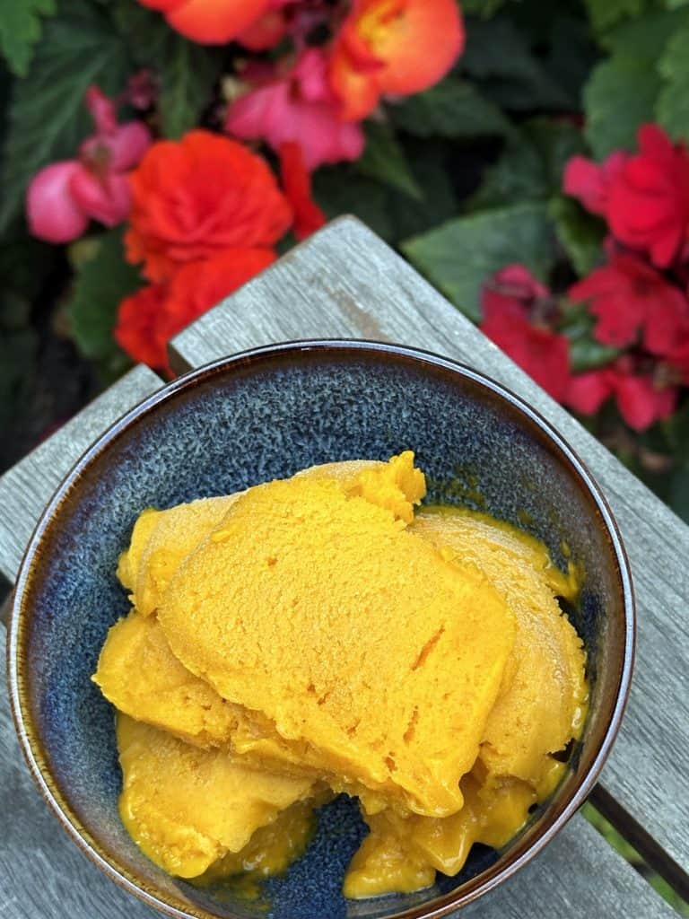 Bowl of mango sorbet on a picnic table wiht some flowers in the background
