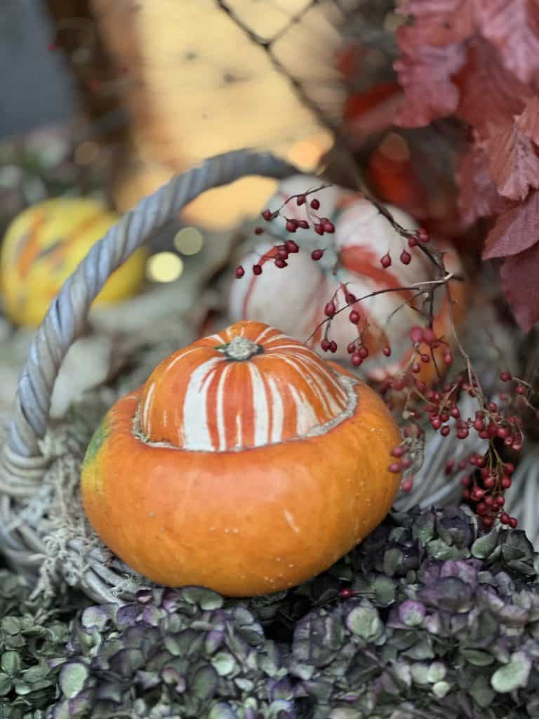 How to Host a Sustainable Dinner Party: Practical Tips for Eco-Conscious Entertaining 3 Pumpkins