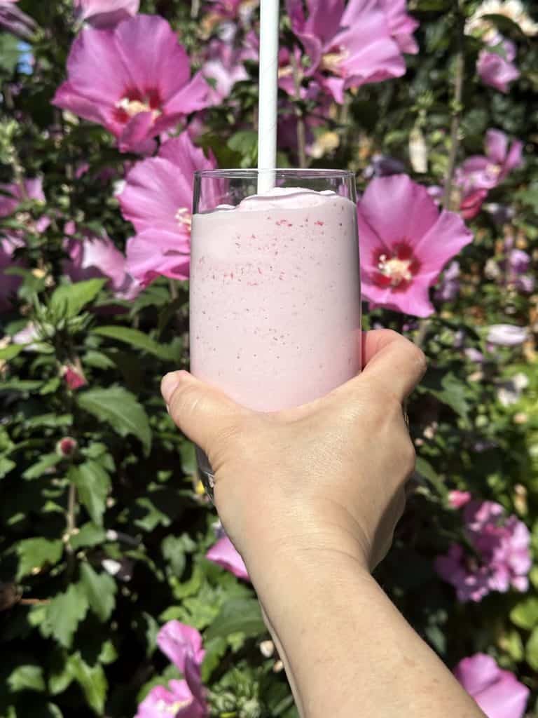 Ninja Creami Strawberry Milkshake