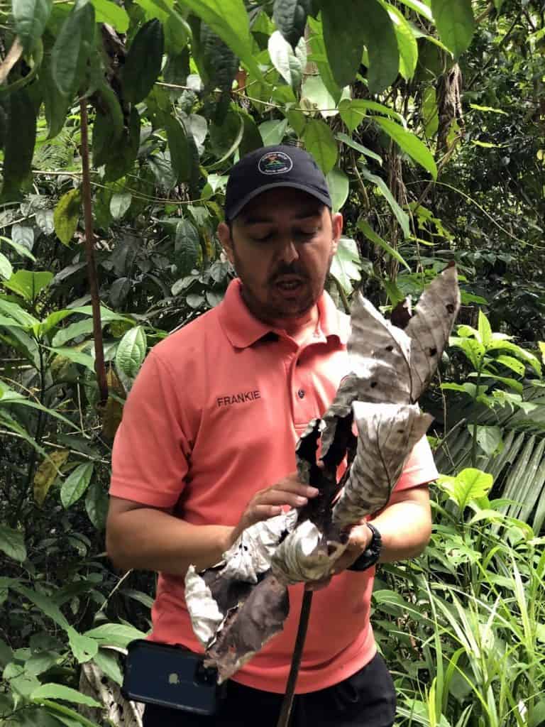 Puerto Rico 4 Day itinerary 11 El Yungue National Park Tour Guide