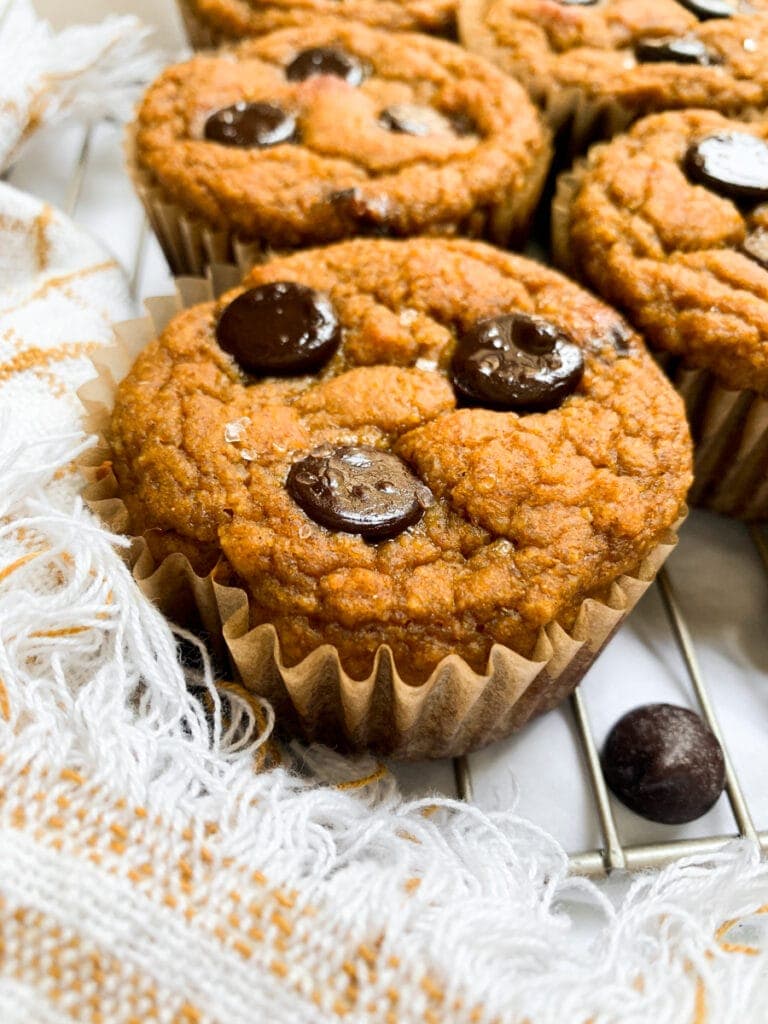 close up of pumpkin muffin with protein topped with chocolate chips