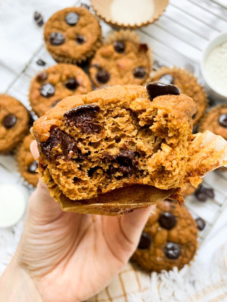 holding a protein pumpkin muffin with a bite taken out