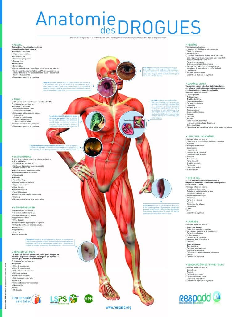 Anatomie des Drogues pdf
