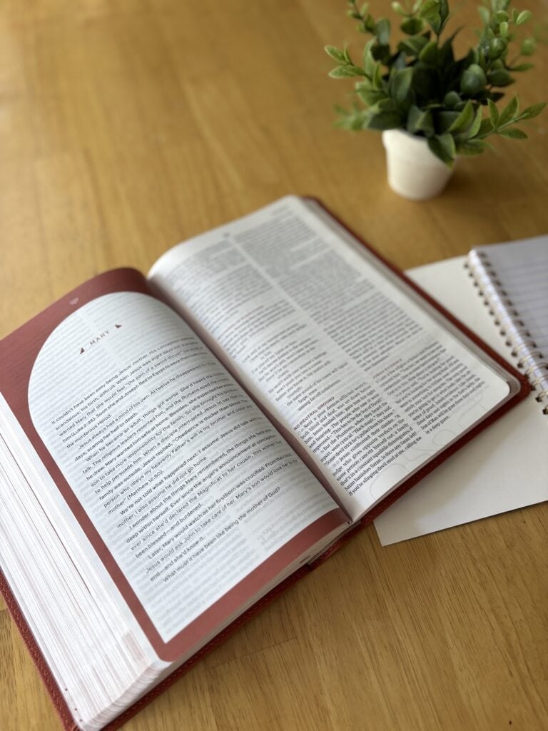 Discover The Message Women's Devotional Bible that highlights women&rsquo;s stories, offers deep context, and helps you see Scripture in a fresh, meaningful way.