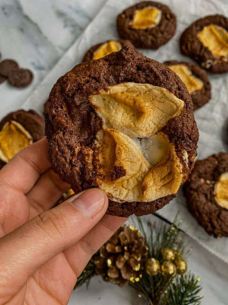 Vegan Hot Chocolate Cookies 1 vegan hot chocolate cookies
