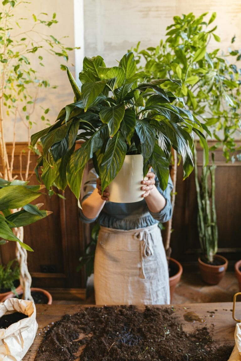 Woman holding Peace Lily