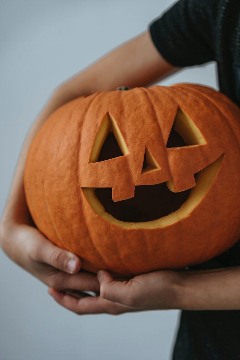 Read more about the article Our Top 4 Pumpkin Patches in NC: The Pumpkin Tradition in the High Country