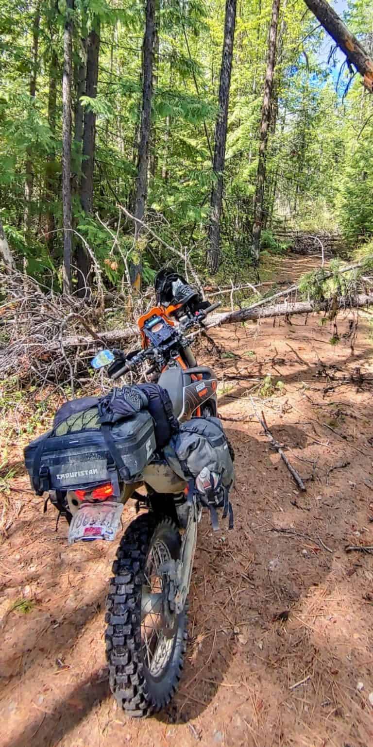 motorcycle stopped by fallen trees