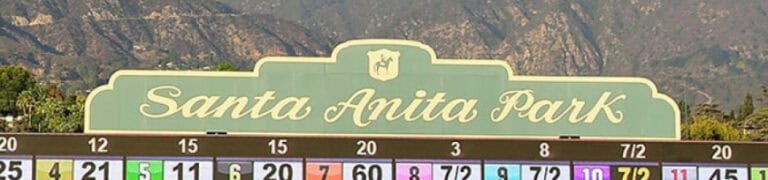 Wedding ceremony at Santa Anita Race Track with elegant decor and scenic views.