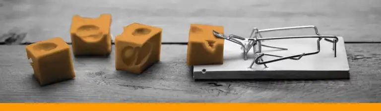 A mousetrap surrounded by cheese