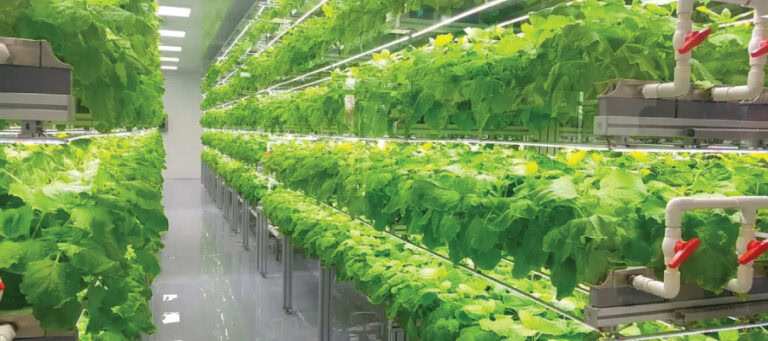 The-Future-of-Farming