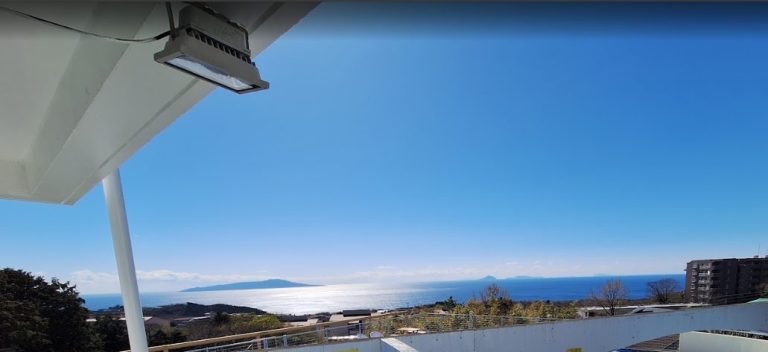 わんこじかん | 愛犬と自由気ままに過ごす旅　伊豆高原わんわんパラダイス・コンドミニアム（1日目）