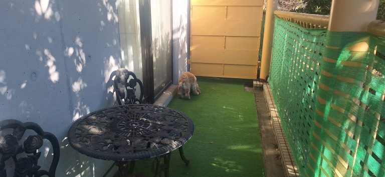 わんこじかん | 愛犬と自由気ままに過ごす旅　伊豆高原わんわんパラダイス・コンドミニアム（1日目）