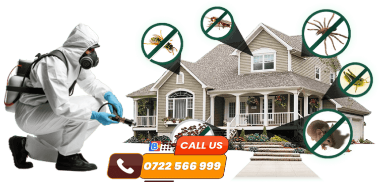 0 pest control service nairobi kenya