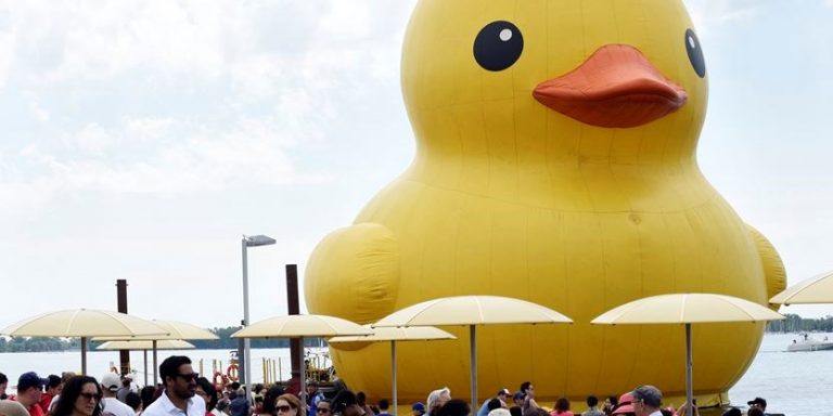 World’s Largest Rubber Duck Is A Hit In Toronto