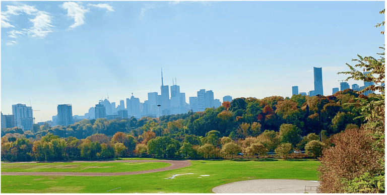 Toronto awarded the champion of trees