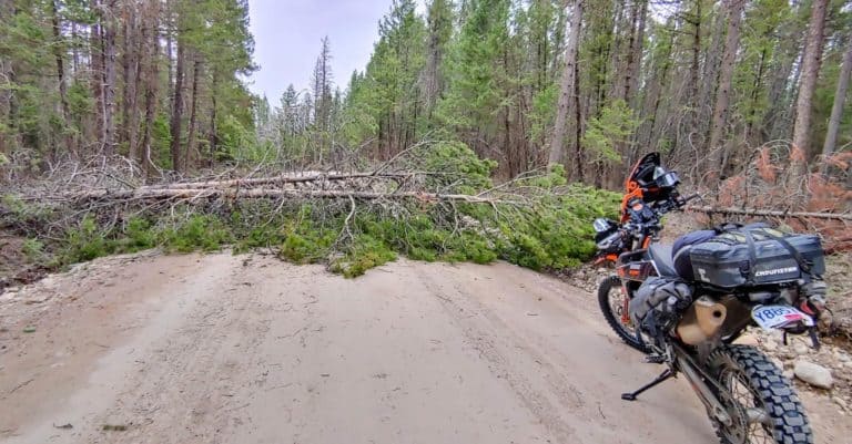 tree across the road in front of a motorcycle