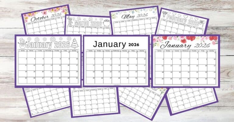 2026 calendars with different designs
